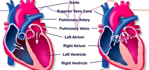 همه چیز درباره دریچه مصنوعی قلب